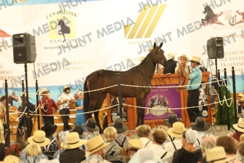 JHM_1472