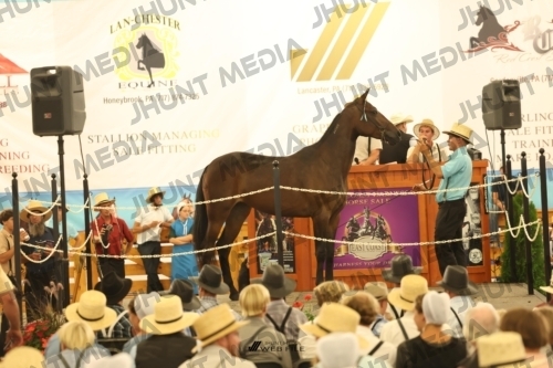 JHM_1473