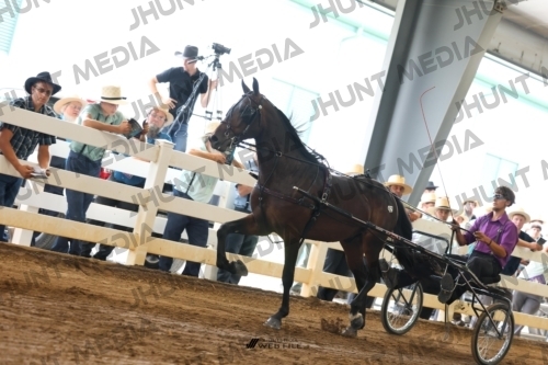 JHM_0186
