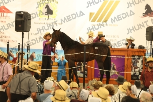 JHM_1606