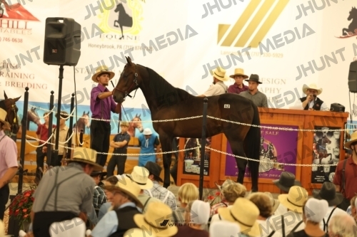 JHM_1607
