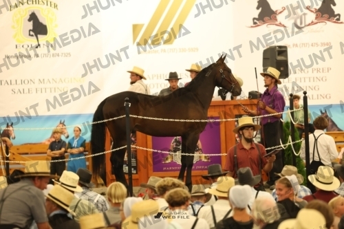 JHM_1610