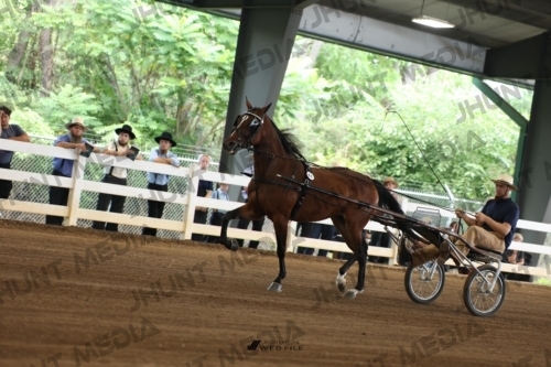 JHM_0149