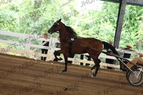 JHM_0152