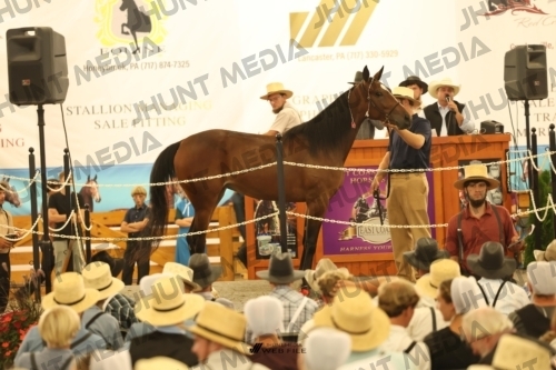 JHM_1599