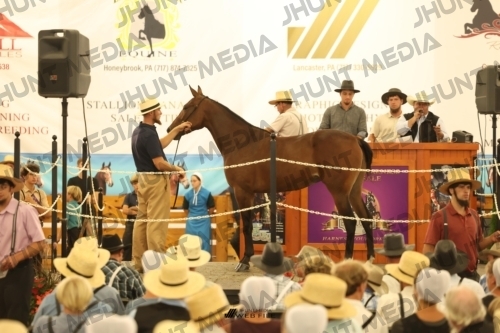 JHM_1603