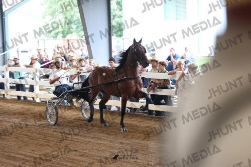 JHM_0534