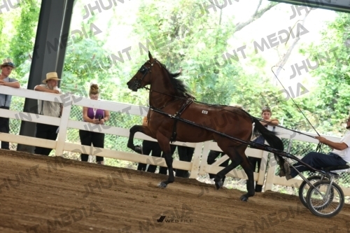 JHM_0543