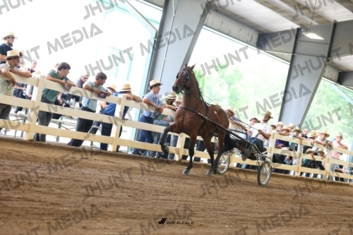 JHM_0544