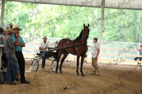 JHM_0551