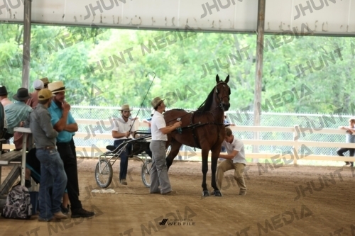 JHM_0553
