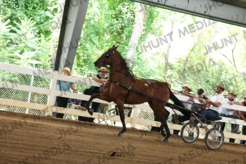 JHM_0573