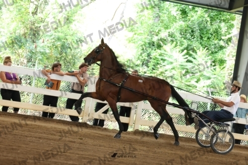 JHM_0574