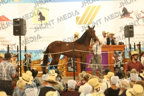 JHM_1570