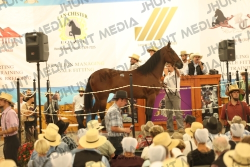 JHM_1571