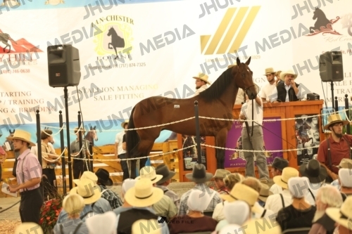 JHM_1572