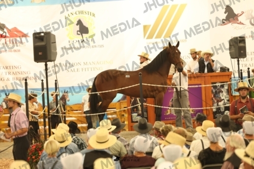 JHM_1573