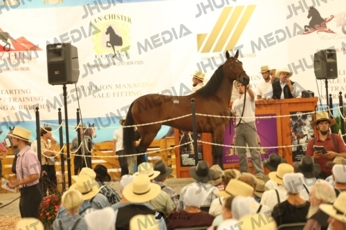 JHM_1574
