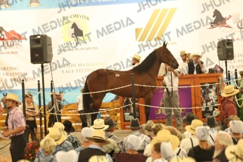 JHM_1575