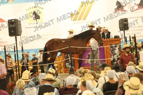 JHM_1576