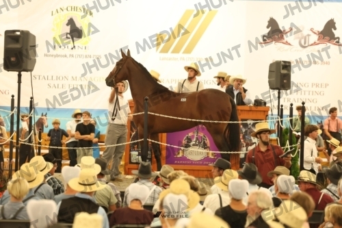 JHM_1578