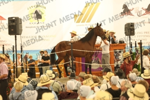 JHM_1580