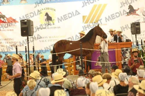 JHM_1581