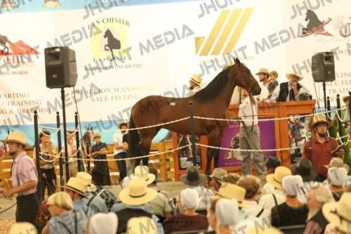 JHM_1582