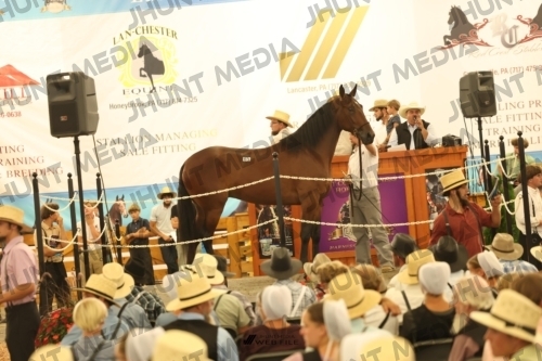 JHM_1583