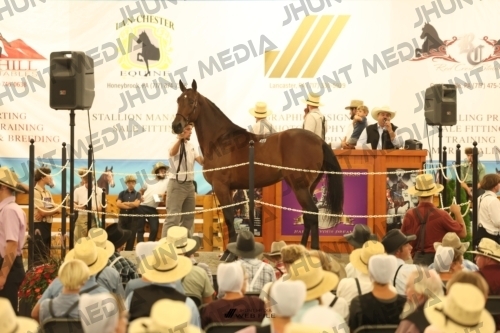 JHM_1588