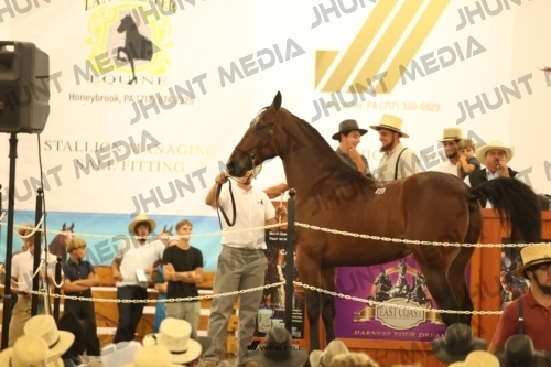 JHM_1589
