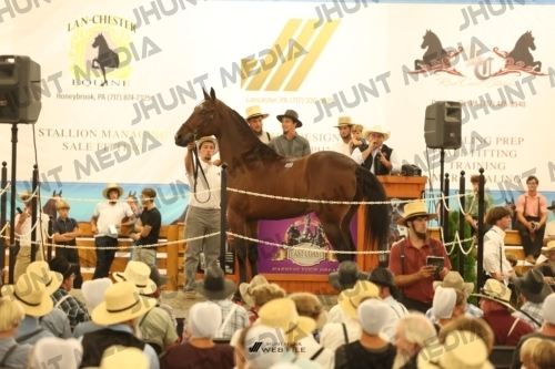 JHM_1590