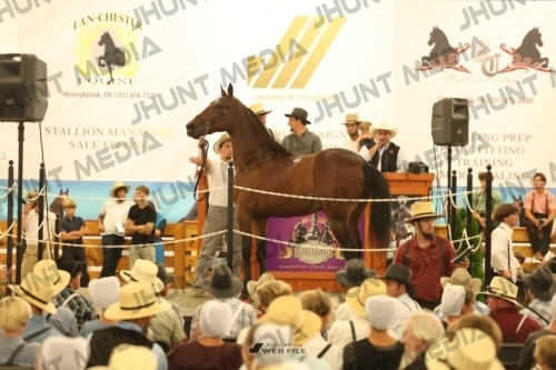 JHM_1591