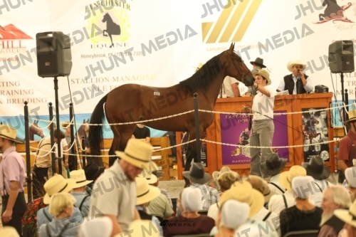 JHM_1592