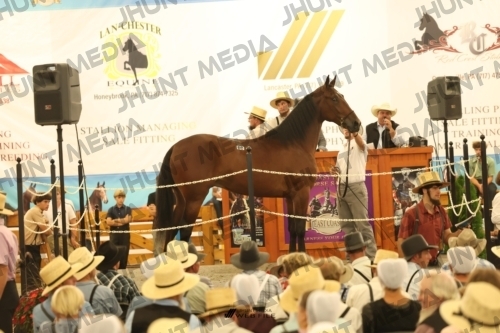 JHM_1595