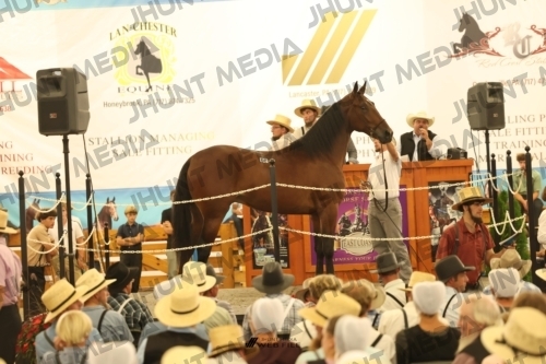 JHM_1596