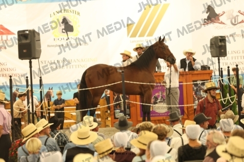 JHM_1597