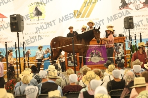 JHM_1559
