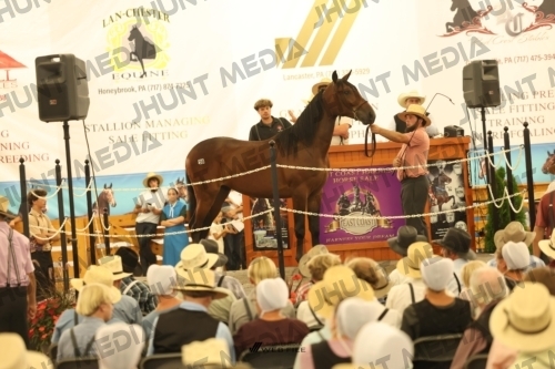 JHM_1560