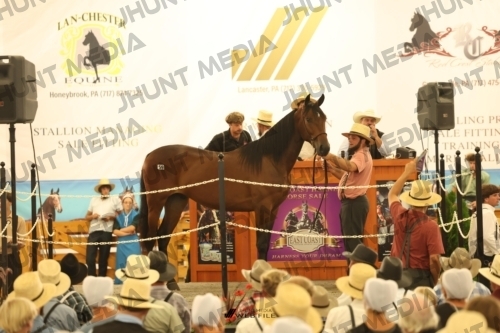 JHM_1563