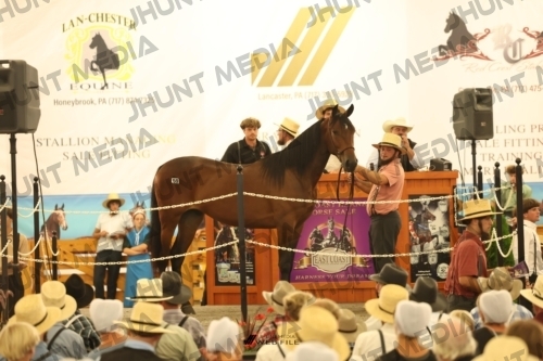 JHM_1564