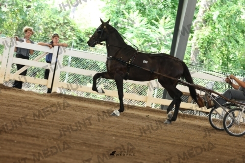 JHM_0645