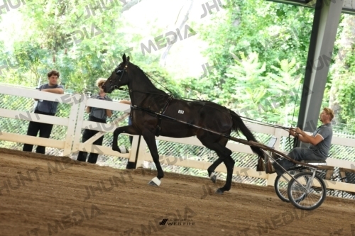 JHM_0660