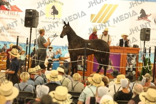 JHM_1543