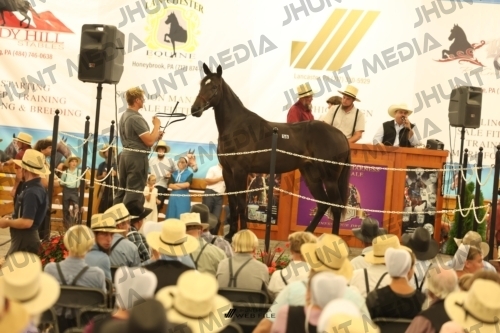 JHM_1544