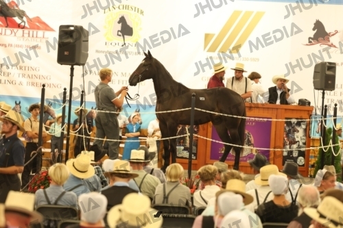 JHM_1545