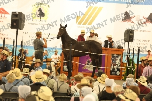 JHM_1546