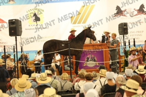JHM_1557