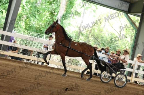 JHM_0590