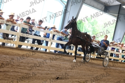 JHM_0557